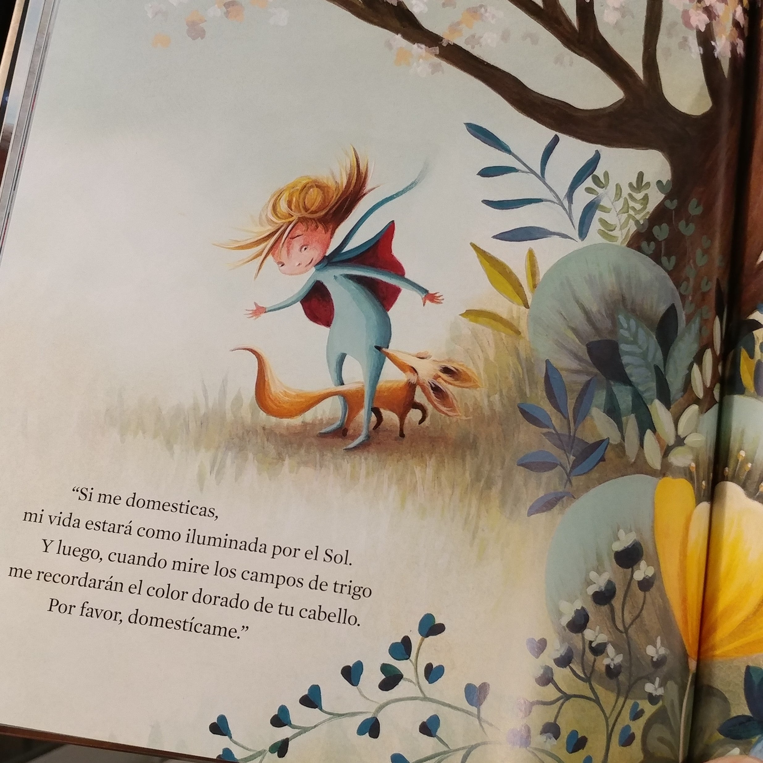 El pequeño príncipe - Abrecuentos El pequeño príncipe - Abrecuentos